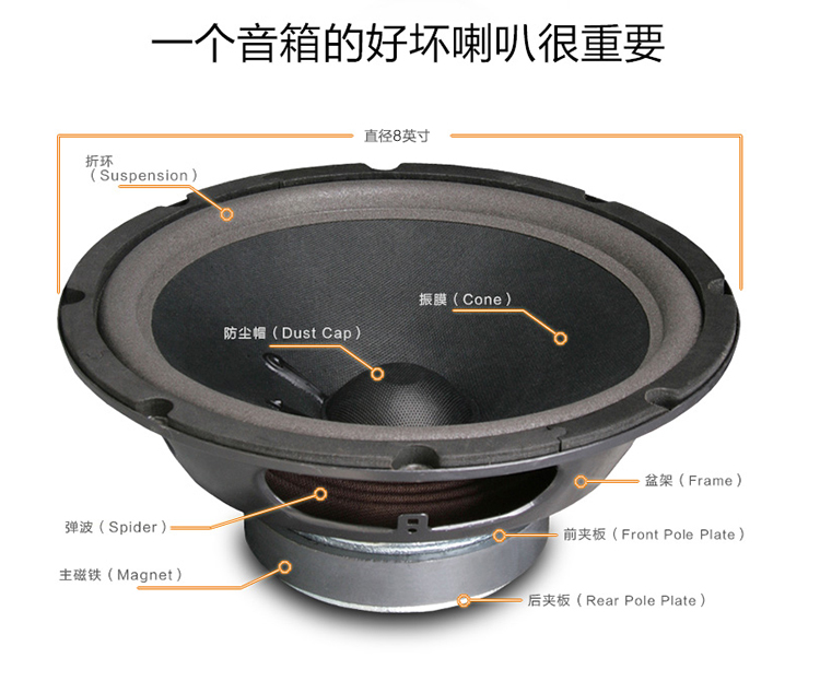 爵士龍M系列新品發(fā)布，只看這個(gè)就夠了!